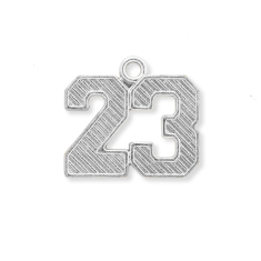 2-Digit 23 Silver