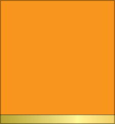 Apricot (Gold Band)