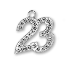 Bling 23 Silver