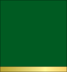 Dark Green (Gold Band)