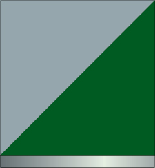 Dark Green and Silver (Silver Band)