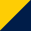 Navy and Gold