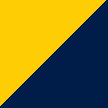 Navy and Gold