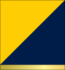 Navy and Gold (Gold Band)