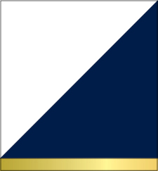 Navy and White (Gold Band)