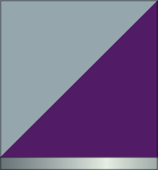 Purple and Silver (Silver Band)